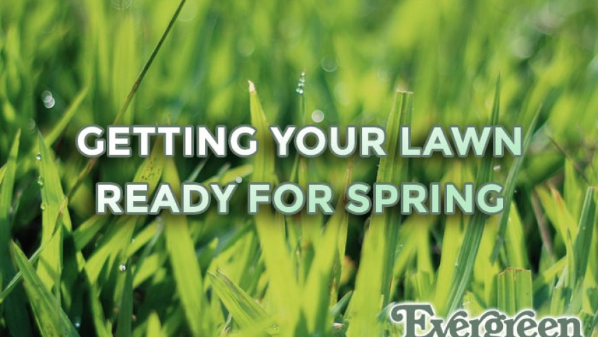 your lawn ready for spring you are here home lawn getting your lawn ...