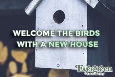 Welcome the Birds with a New House