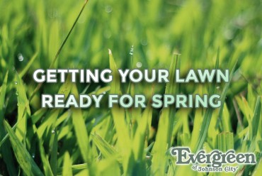 Getting Your Lawn Ready For Spring