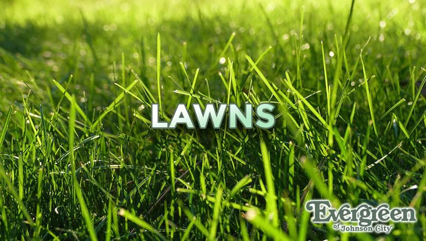 Lawns