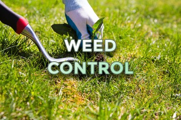 weed-control