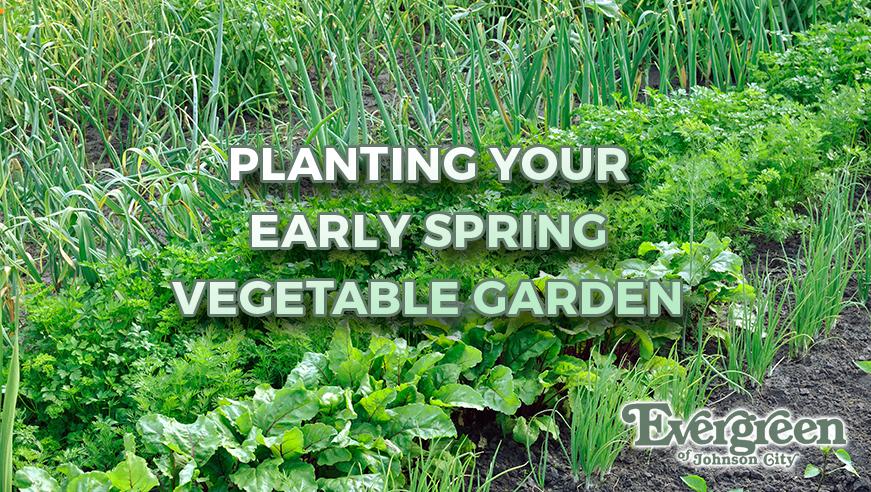 Planting Your Early Spring Vegetable Garden