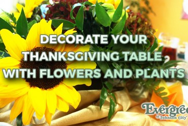 Decorate Your Thanksgiving Table with Flowers and Plants