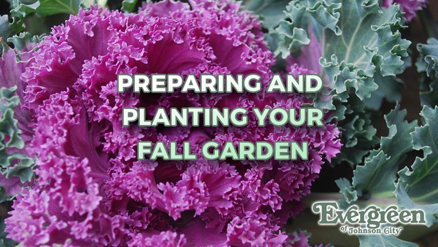 Preparing and Planting your Fall Garden