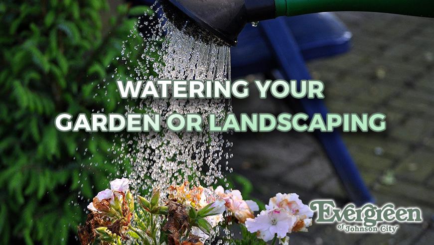 Watering Your Garden or Landscaping