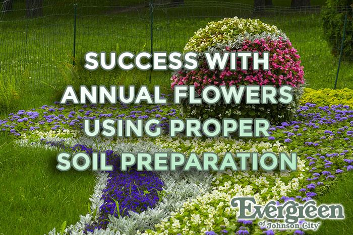 Success with Annual Flowers Using Proper Soil Preparation
