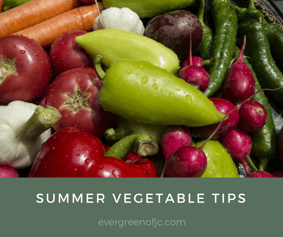 Summer Vegetable Tips