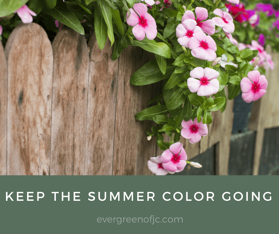 Keep the Summer Color Going