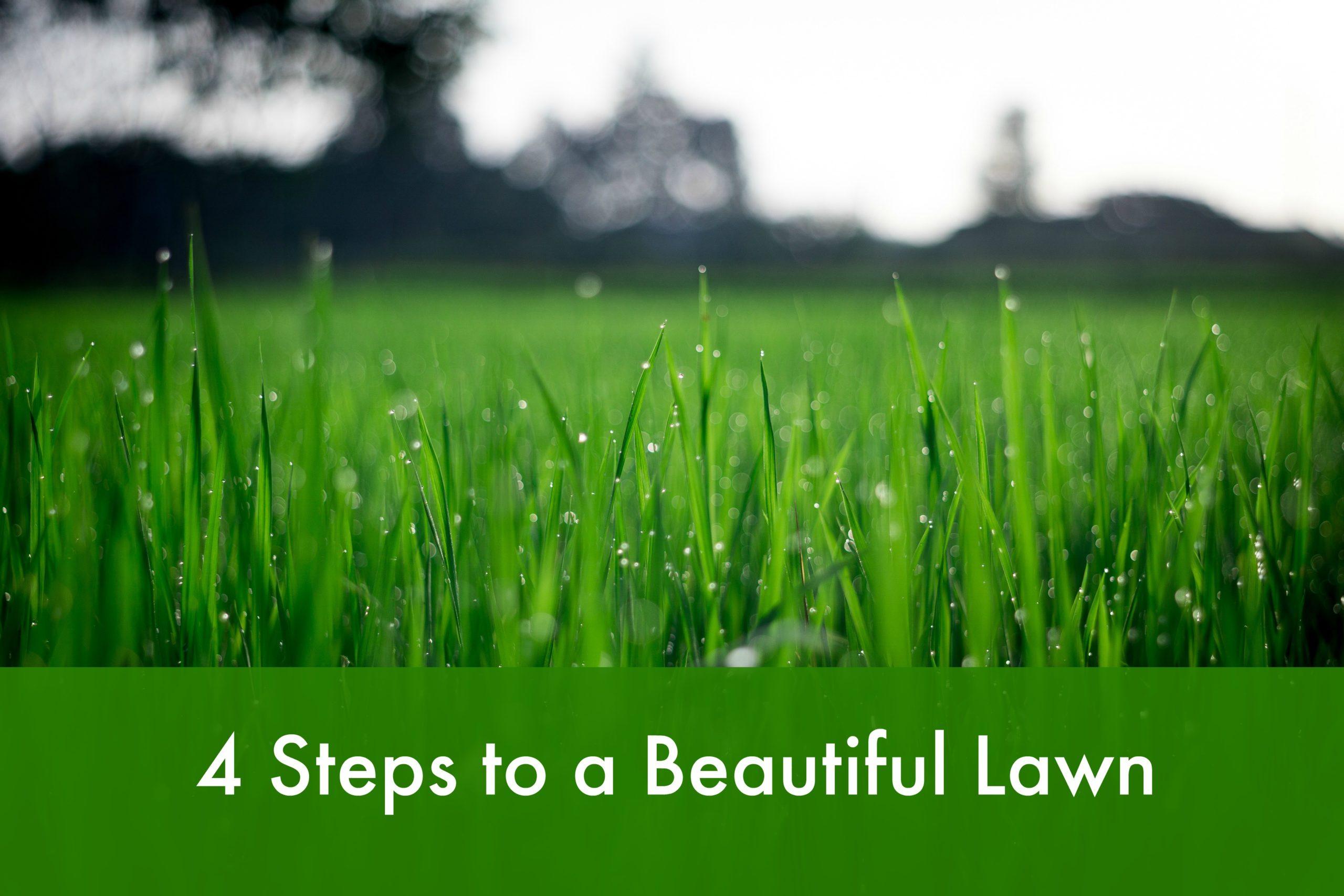 4 Steps to a Beautiful Lawn
