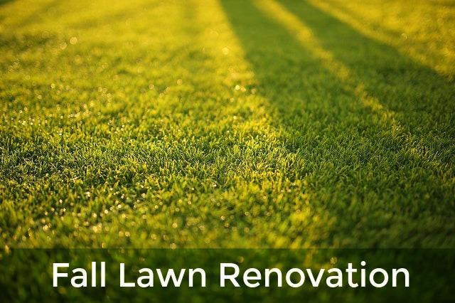 Fall Lawn Renovation