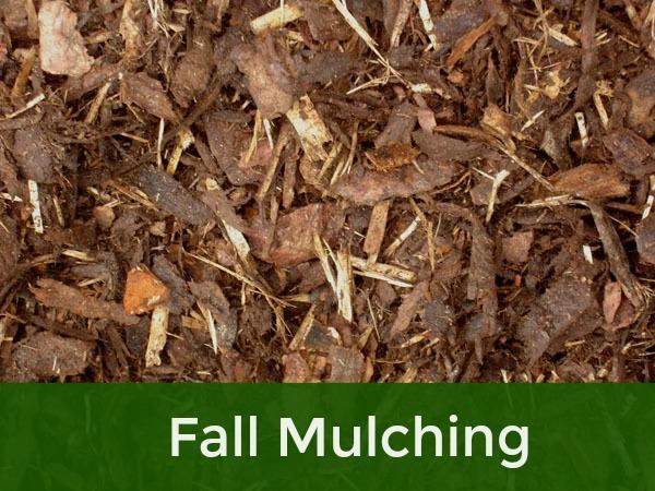 Fall Mulching