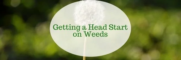 Get a Jump Start on Weeds