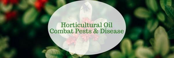 Horticultural Oil – Combat Diseases & Pests