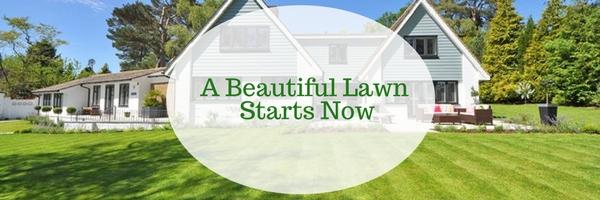 A Beautiful Lawn Begins Now