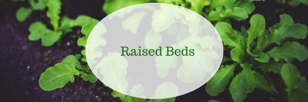 Raise Your Expectations : Raised Garden Beds
