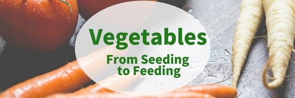Vegetables: From Seeding to Feeding