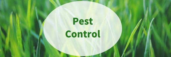 Pest Control: Prevention