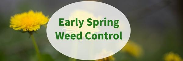 Early Efforts Equal Fewer Weeds