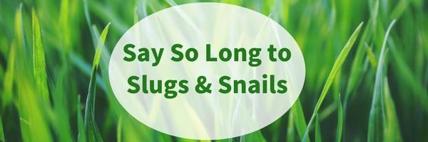 So Long Slippery, Slimy Slugs, & Snails