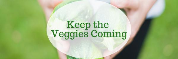 Keep the Veggies Coming