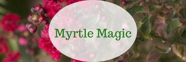 Myrtle Magic