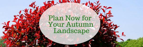 Plan Now for Your Autumn Landscape