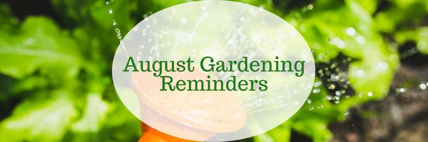 August Gardening Reminders