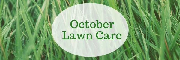 October Lawn Care