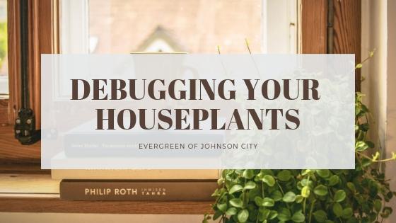 Debugging Your Houseplants