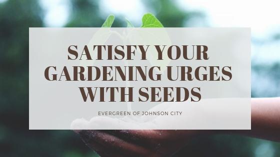 Satisfy Your Gardening Urge With Seeds