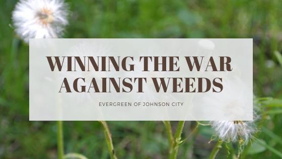 Winning the War Against Weeds