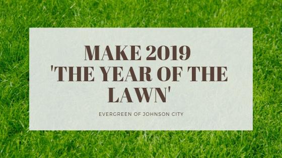 Make 2019 “The Year of the Lawn”