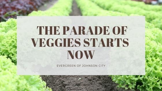 The Parade of Veggies Starts Now
