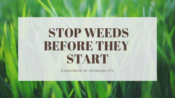 Stop Weeds Before They Start