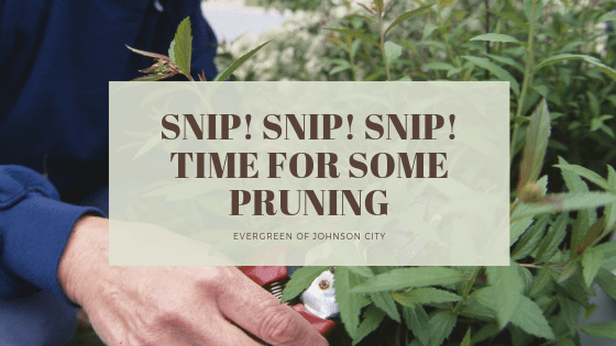 Snip! Snip! Snip! Time for Some Pruning