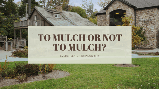 To Mulch or Not to Mulch?