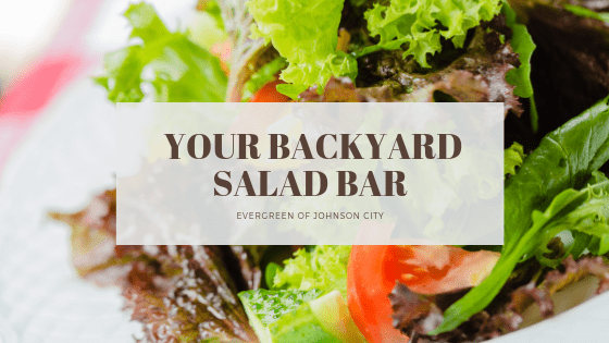 Your Backyard Salad Bar