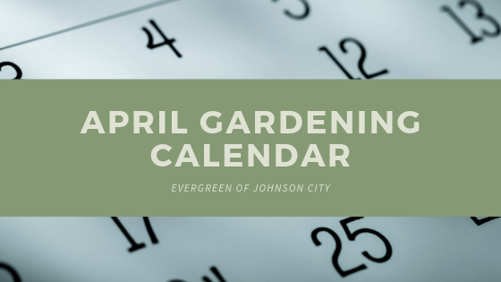 April Gardening Calendar