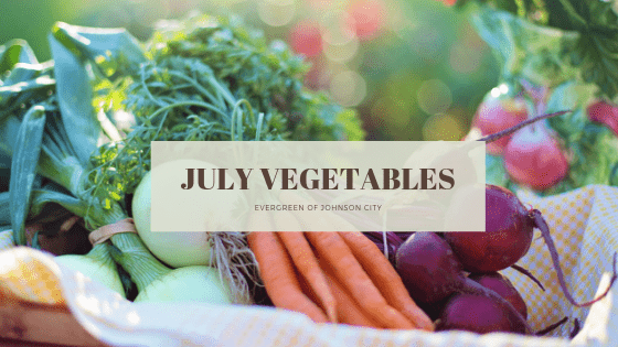 July Vegetables