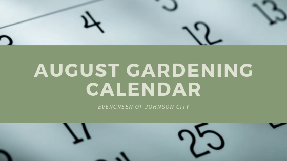 August Gardening Calendar