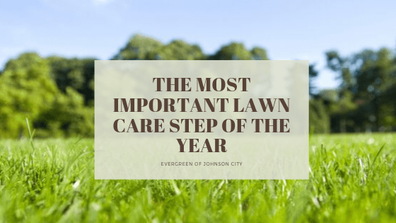 The Most Important Lawn Care Step of the Year