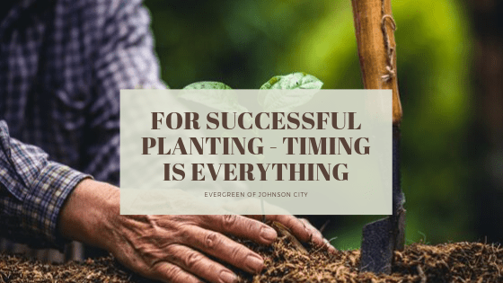 For Successful Planting – Time is Everything!