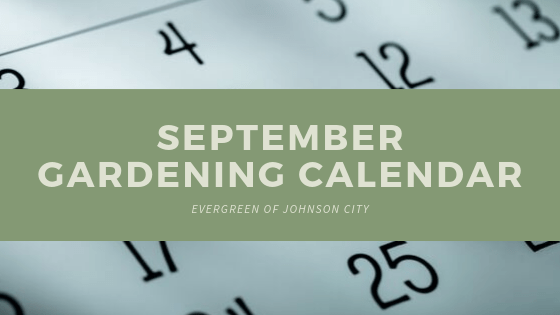 September Gardening Calendar