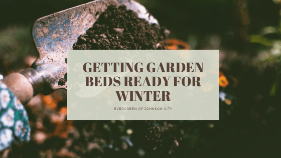 Getting Garden Beds Ready for Winter