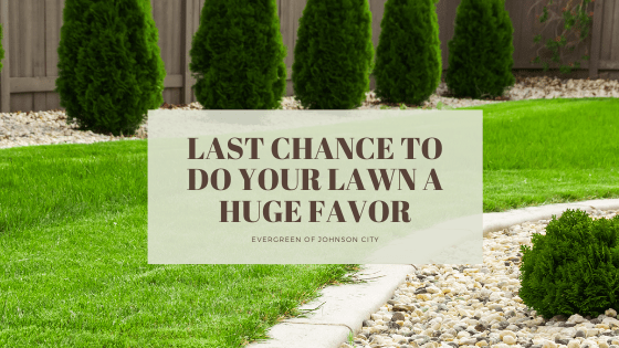 Last Chance to Do Your Lawn a Huge Favor
