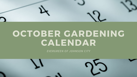 October Gardening Calendar