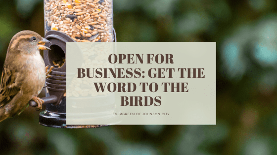 Open for Business – Get the Words to the Birds