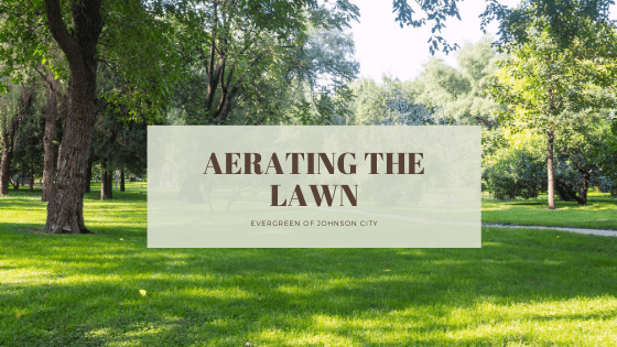 Aerating the Lawn – It’s the Green Thing to Do