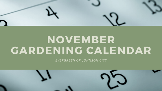 November Gardening Calendar