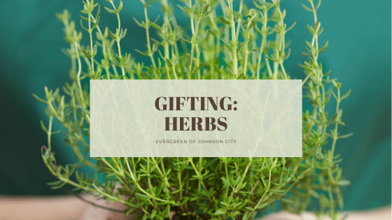 Gifting: Herbs